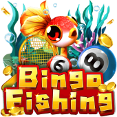 Bingo Fishing - jilicc fishing